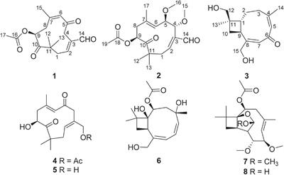 New Bioactive Sesquiterpeniods From the Plant <mark class="highlighted">Endophytic Fungus</mark> Pestalotiopsis theae